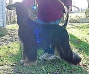 Diva04novsk.jpg (13729 bytes)