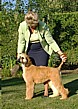 LexiJunebutt.jpg (6578 bytes)