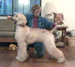 Summer031023u.jpg (23666 bytes)