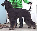 Tahoestkbutt.jpg (7356 bytes)
