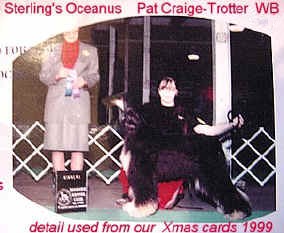 octTrotterWBxmascards.jpg (34407 bytes)
