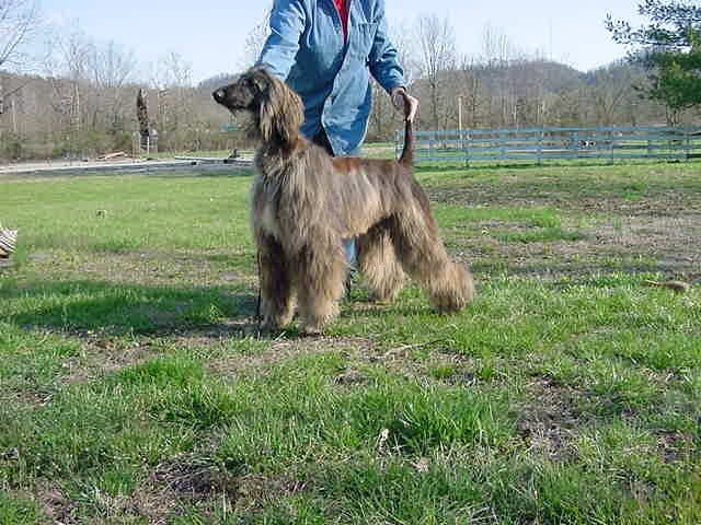 prizmapr.jpg (91174 bytes)