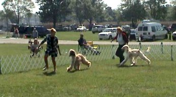 summermil2.jpg (24649 bytes)