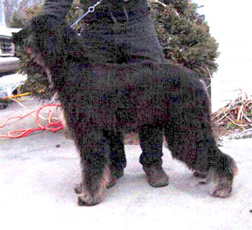 tahoe05stkeric.jpg (41661 bytes)
