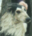 odZone.jpg (5549 bytes)