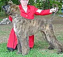 prizmlexstkbutt.jpg (9800 bytes)