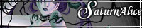 SA banner