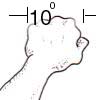10d.jpg (8268 bytes)