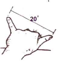 20.jpg (4117 bytes)