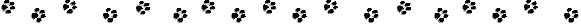 bar6.gif (509 bytes)