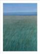 Grasebene mit blauem Horizont