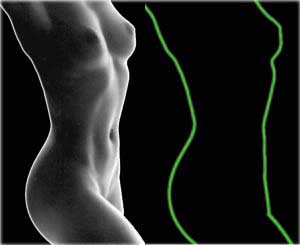 ein Frauen-Body, daneben dieser K�rper skiziert mit 2 gr�nen Linien