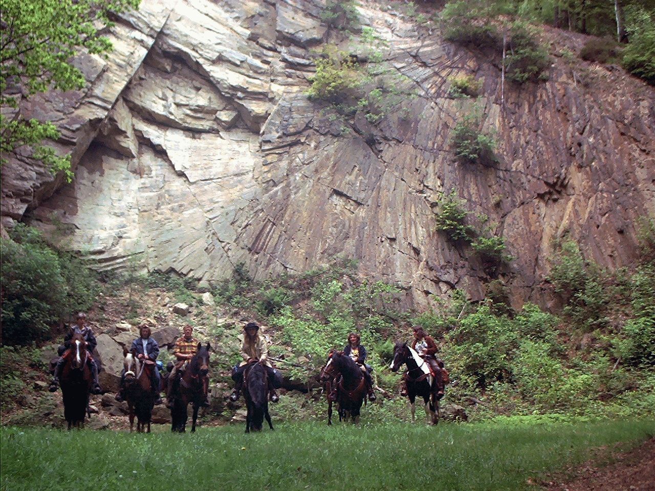 Gruppenbild im Wald