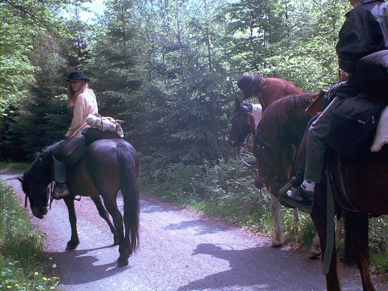 Ich auf meinem Pferd