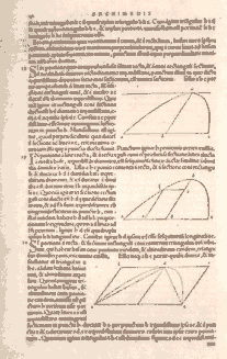 arquimedes71.gif
