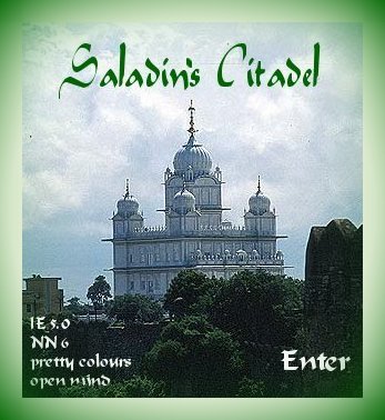 Enter Saladin's Citadel