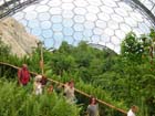072_inthedome