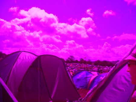 004-purple-tents