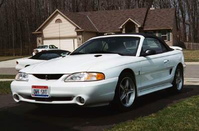 www.mustangworld.com