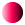 redbullect.gif (1021 bytes)