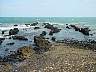 eastcoast05.JPG
