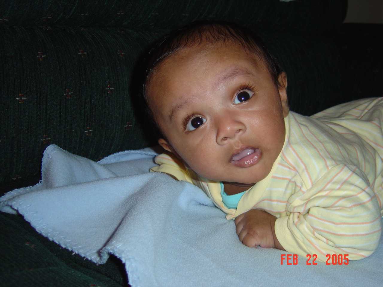 Aneesh26.jpg