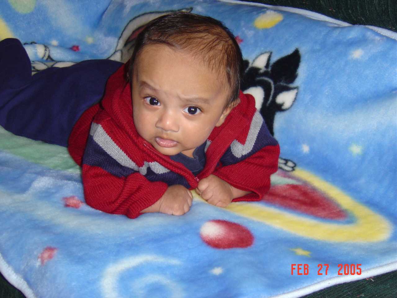 Aneesh27.jpg