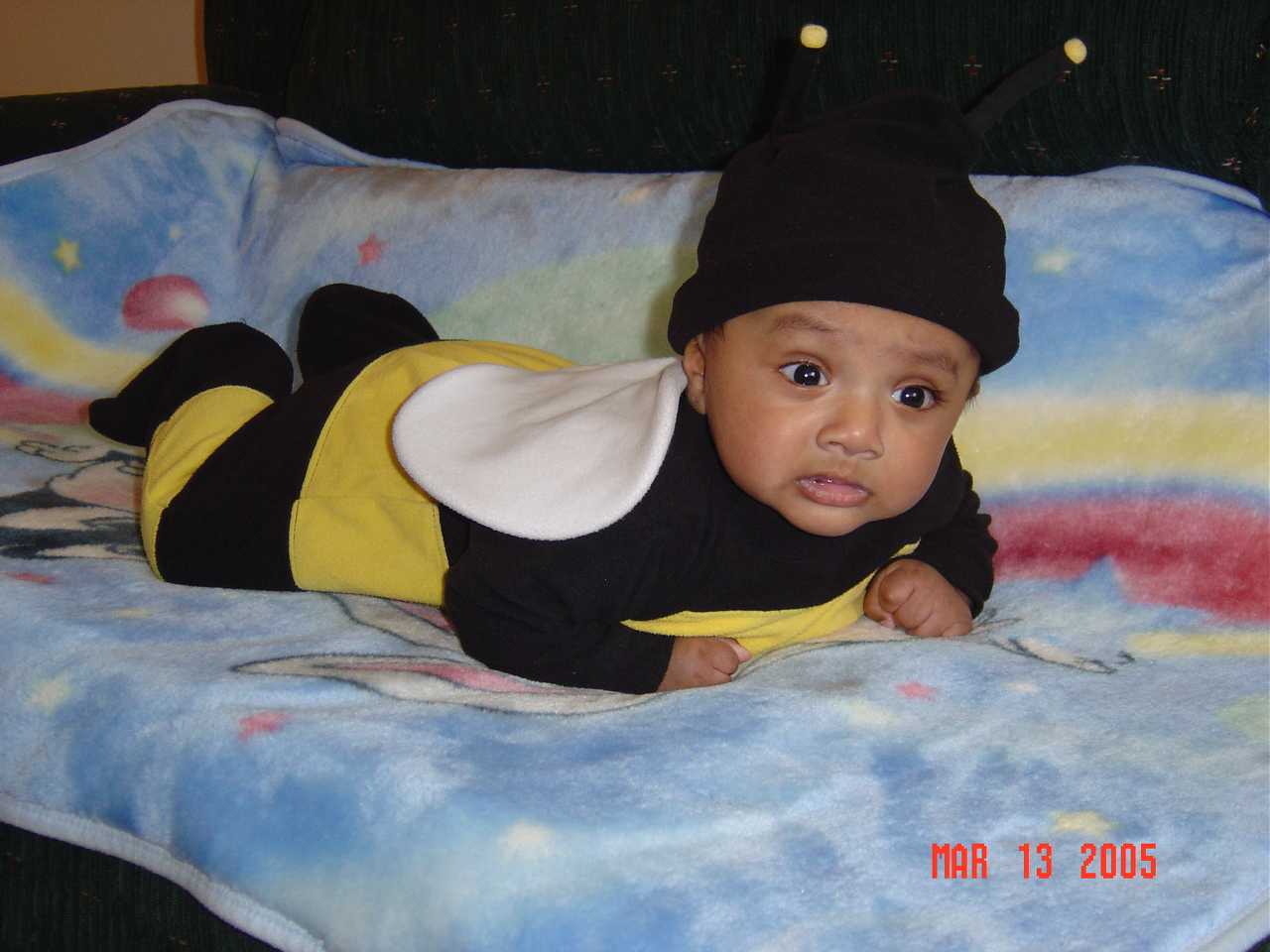 Aneesh38.JPG