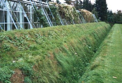 R�mermuseum Haltern