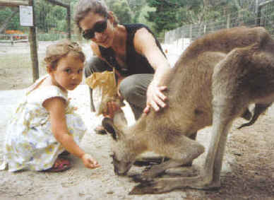 symbio park NSW 2001