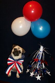 Miss Patriotic