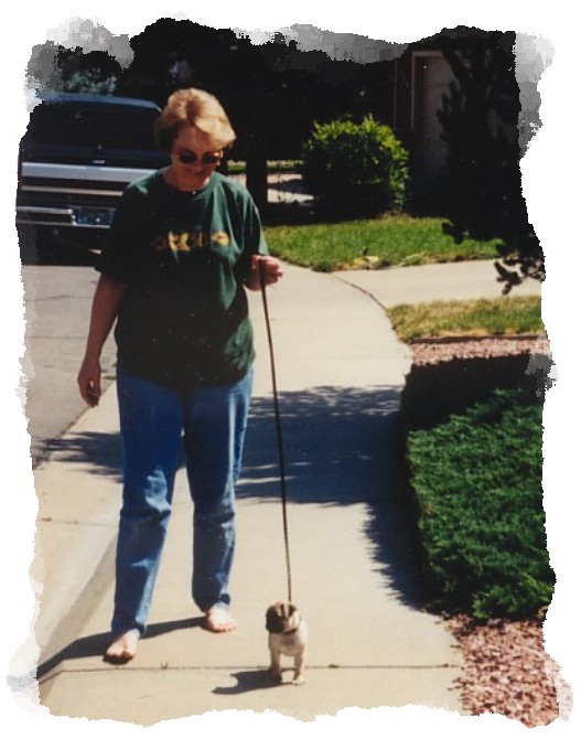 Learning to walk on a leash.