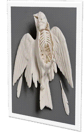 sparrow.jpg