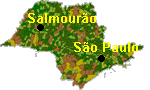 -  SALMOUR&Atilde;O  /  SP  (BRASIL)  -