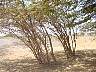 DSC05001.JPG