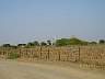 DSC05096.JPG