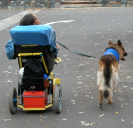 Tertius and Xanto out for a walk