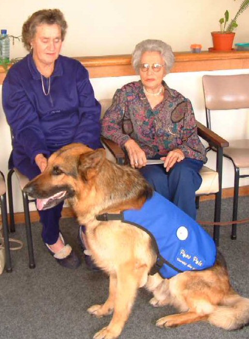 Xanto visiting the Elderly at Huis Zonnekus