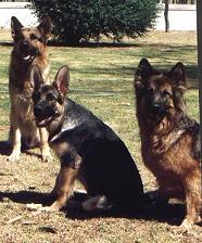 Jerry-Lee, Xanto and Landro