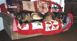 Xanto and Jerry-Lee sharing the couch