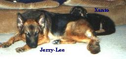 Xanto (age 10 weeks) with Jerry-Lee