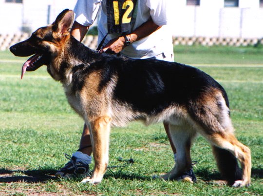 Landro at 9 months