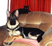 Landro and FatMan