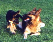 Father (Xanto) and son (Landro)