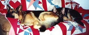 Xanto and Landro sharing the couch