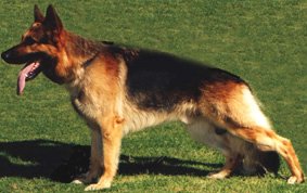 Xanto of Annenberg