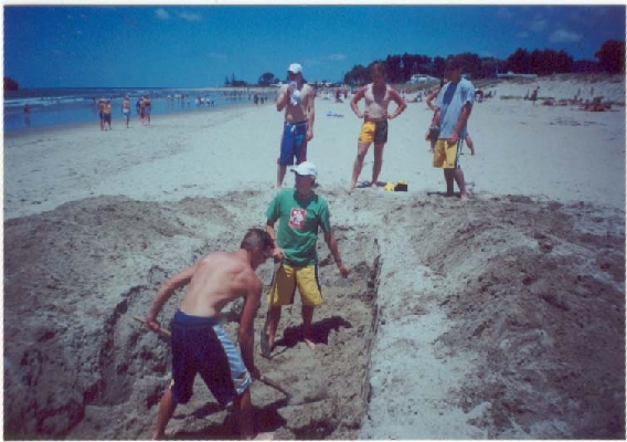 THE HOLE
