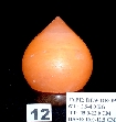Dew Drop Lamp