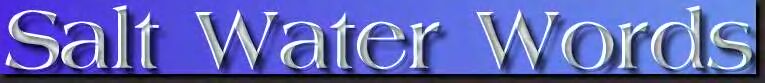 Salt Water Words _  poetry for peace