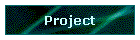 Project